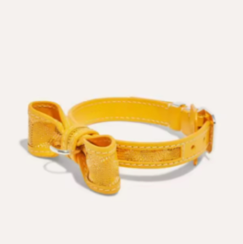 yellow collar