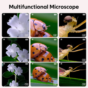 Inskam355 500X 2MP袖珍显微镜2英寸IPS彩色屏幕儿童早教发光二极管光源玩具套件来样定做 - Product Image 5