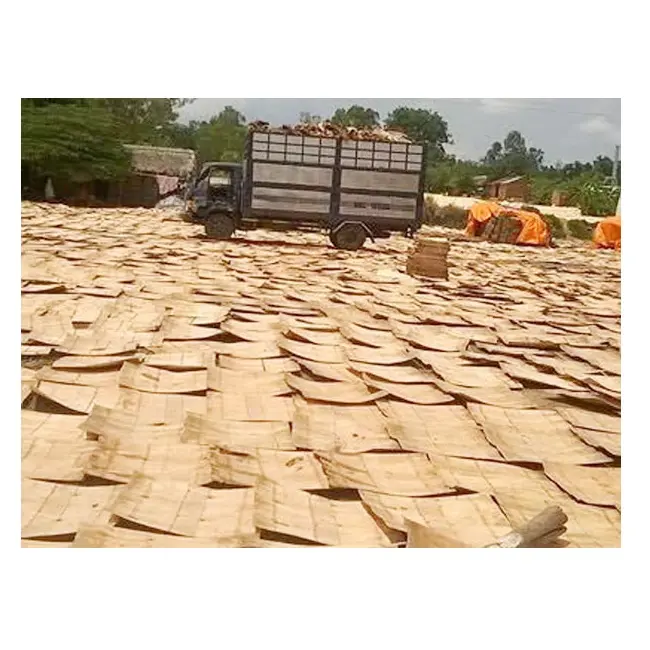 Tabir Surya Memiliki Potongan Lapisan Dalam Kayu, Karet Alami/Acacia/Kayu Kayu Putih Berkualitas Tinggi untuk Membuat Kayu Lapis