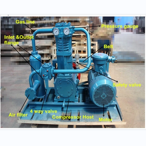 ATEX Certified <strong>LPG</strong> <strong>Unloading</strong> Compressor 200m&sup3;/h for Tanker Truck <strong>Loading</strong>/<strong>Unloading</strong> - Product Image 3