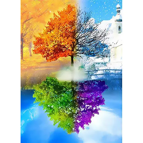 Pintura DIY por números para paisagens Decoração Home Pintura a óleo por números Conjunto completo para adultos Tintas de árvores sobre tela sem moldura