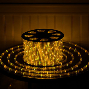 Per la vendita 110V/220V RGB LED corda leggera 100m colore cambiamento stringa IP68 Rating controllo vocale per paesaggio 36led 48led 14mm - Product Image 3