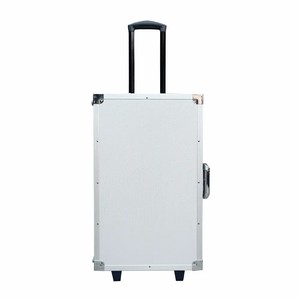 OEM定制铝硬演示附件展示工具重型设备拉杆箱，带eva泡沫插入垫 - Product Image 3