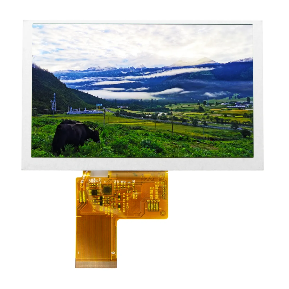 Industriale 5 pollici flessibile led 16.7M 800*480 TN 40 pin 24 bit-RGB tft lcd touch screen per pubblicità