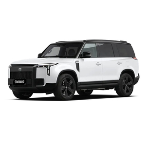 Düşük fiyat ROX 01 2024 model ayrıcalıkları 6 koltuk dayanıklılık 5 kapı 6 koltuk suv range extender sıcak satış şimdi - Product Image 1