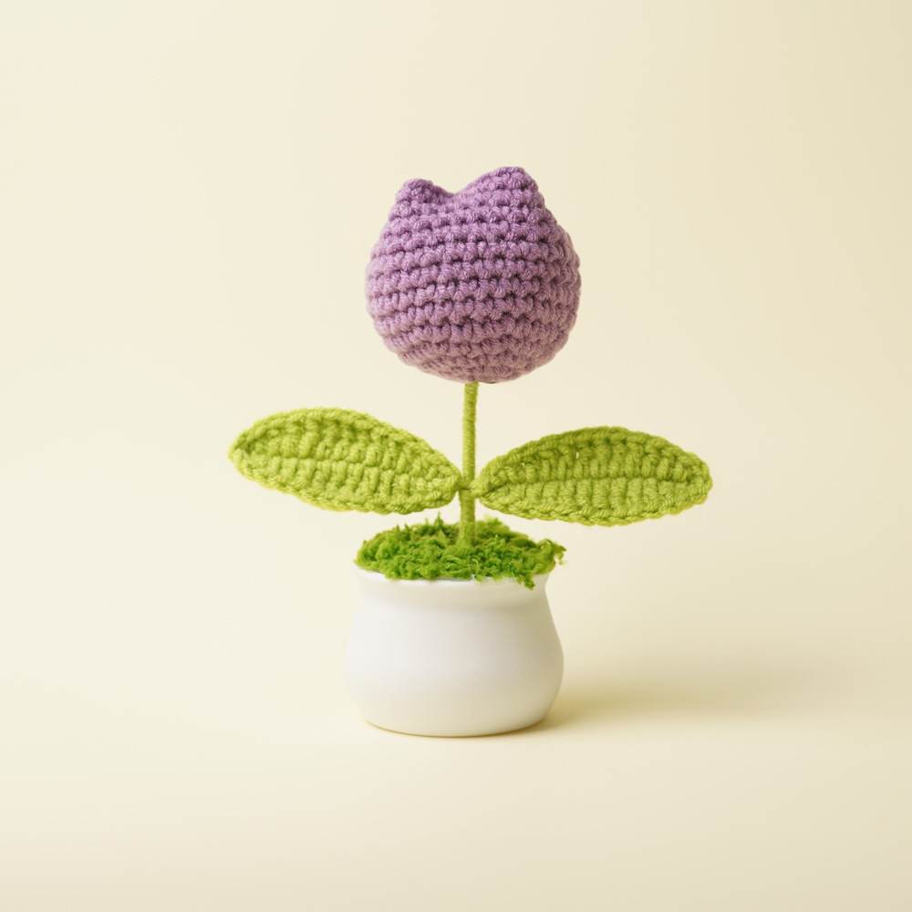 Plantes en pot de tulipes violet foncé