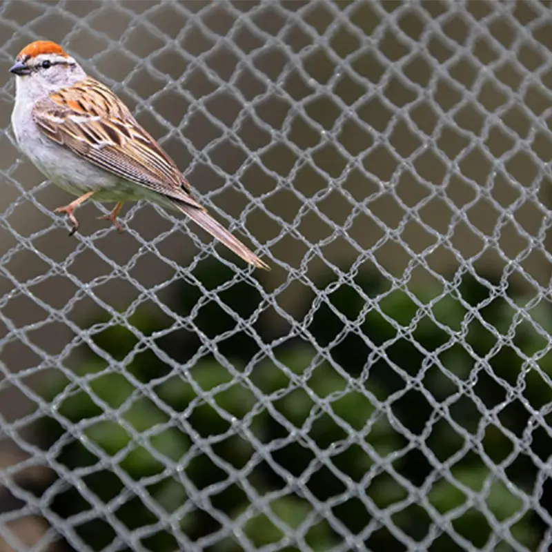 Red de captura de aves, Red Verde Pe agrícola, redes de granizo para viñedos, redes para pájaros para árboles frutales, huerto, plantación de uvas, granja