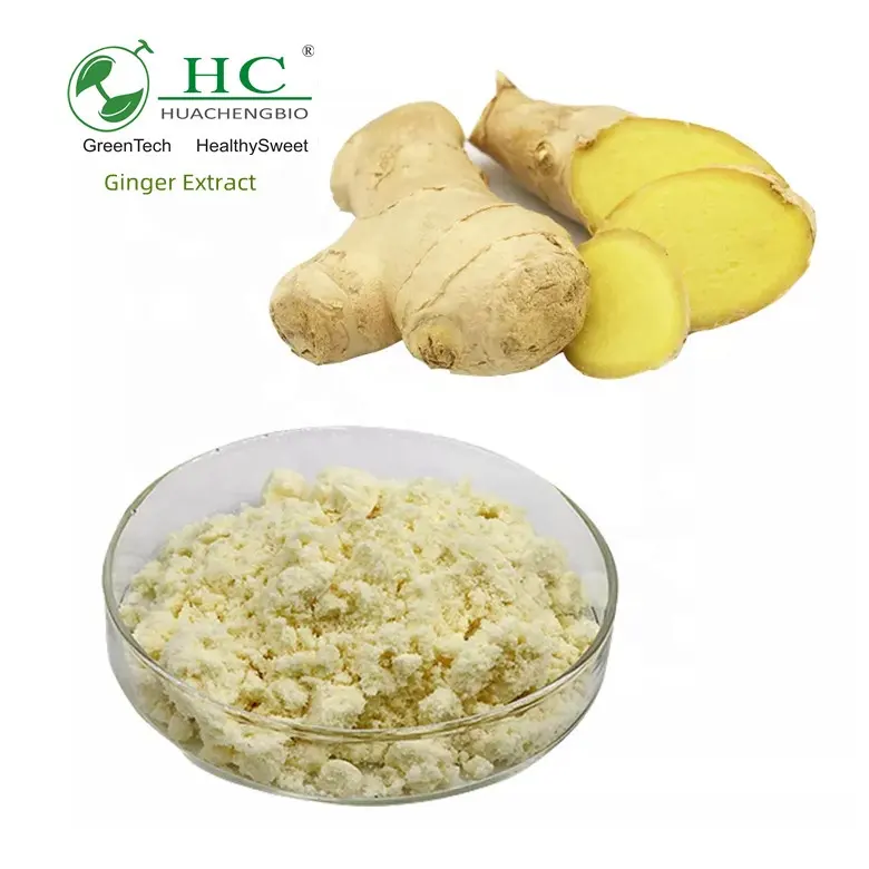 مستخلص الزنجبيل الأسود من BRC ISO, مستخلص الزنجبيل من Zingiber Officinale Gingerols جذر الزنجبيل الأسود