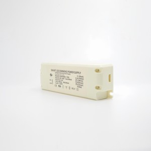 Smart Driver Led dimmerabile Zigbee 3.0 Tuya Led Dimmer 40W 5CH RGB/RGBCCT Driver a corrente costante per illuminazione a Led