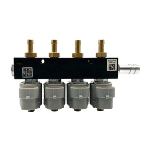 3/<strong>4</strong> Cyl <strong>Injector</strong> Common Auto Gas <strong>Injector</strong> for Auto Parts Cng lpg