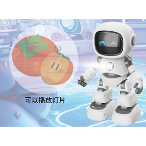 2.4G Wireless Electric Children's Plastic <strong>Robot</strong> Toy with Remote Control Projection Touch Induction and <strong>Programming</strong> Function