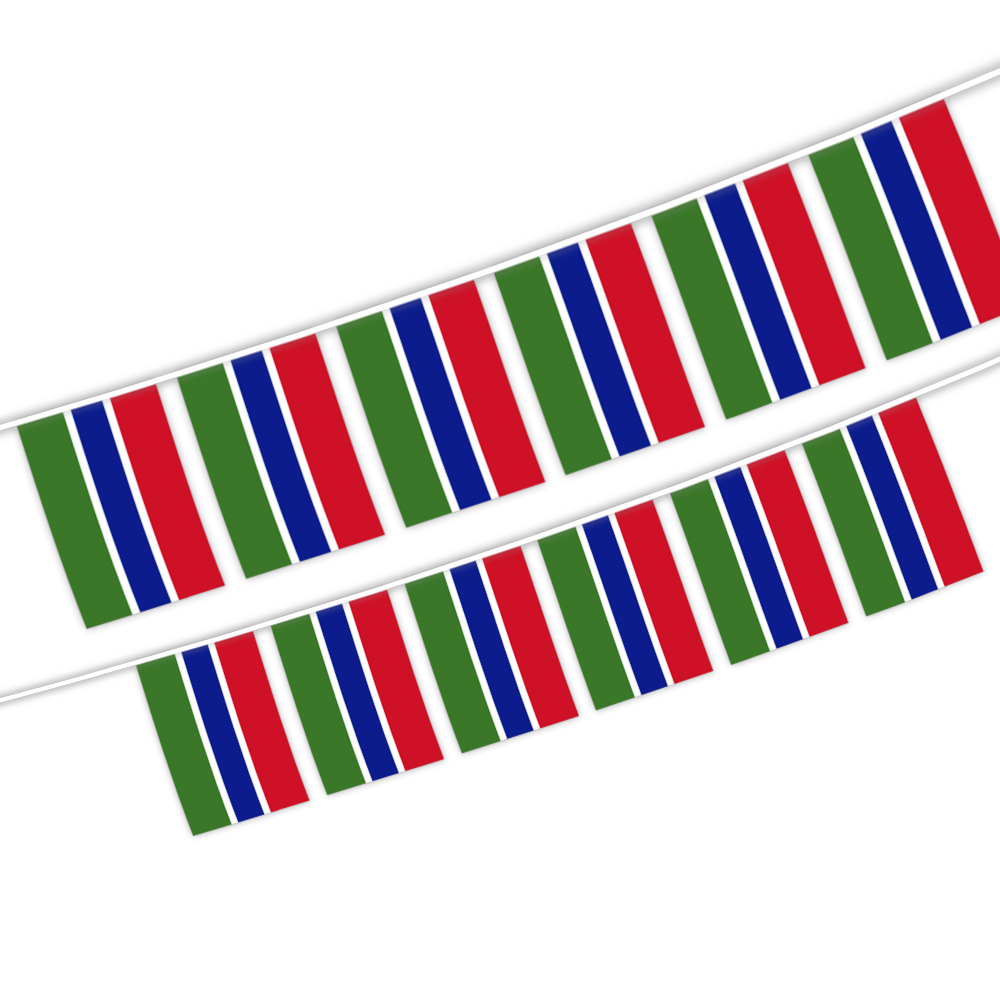 The Gambia Flag