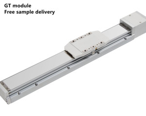 O XSK5GT-BL motor dobrado deixou encaixou o curso 50 do trilho do parafuso ~ módulo linear da elevada precisão 10-30KG 800MM alto