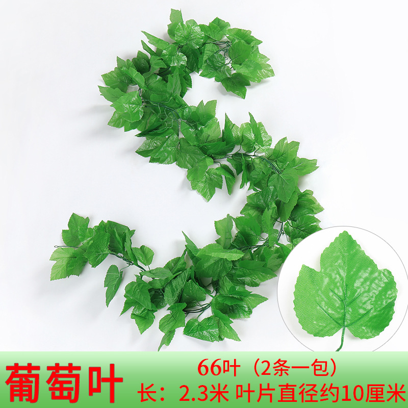 66 feuilles de vigne 3D - 2