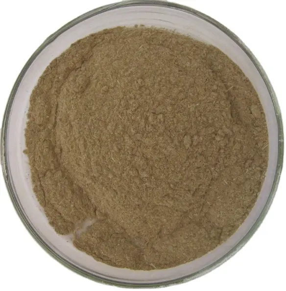 Высокое качество GMP Натуральный кошерный экстракт Prunus Africa Pygeum Africa Powder Pygeum Africa Extract