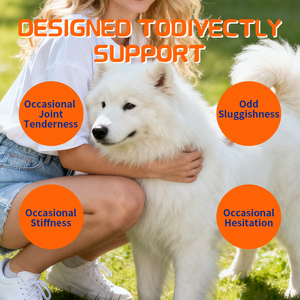 תוספת ללעוס ומפרק ללעוס לכלבים, גלוקוזאמין, תמיכה בניידות וגנים גדולים - Product Image 2