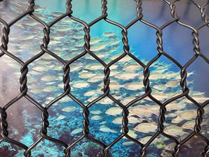 China Fábrica Promoção PET Agricultura Redes Poliéster <span class=keywords><strong>Hexagonal</strong></span> Malha Máquina Pesca Net Máquina