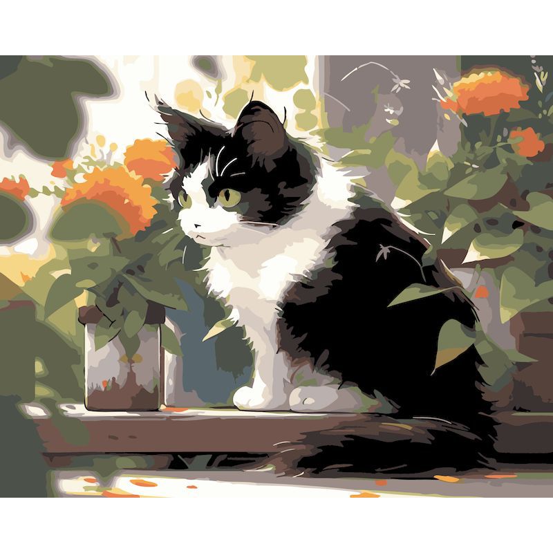 46556 chats domestiques-2