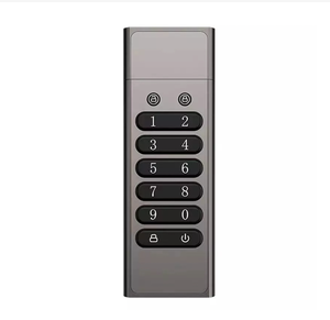 Rosy Gold Metal Pass Code daten gesperrte USB-Speichersticks 32 GB 64 GB 128 GB, USB3.0 hochgeschwindigkeitsverschlüsselte USB-Flash-Disk - Product Image 4