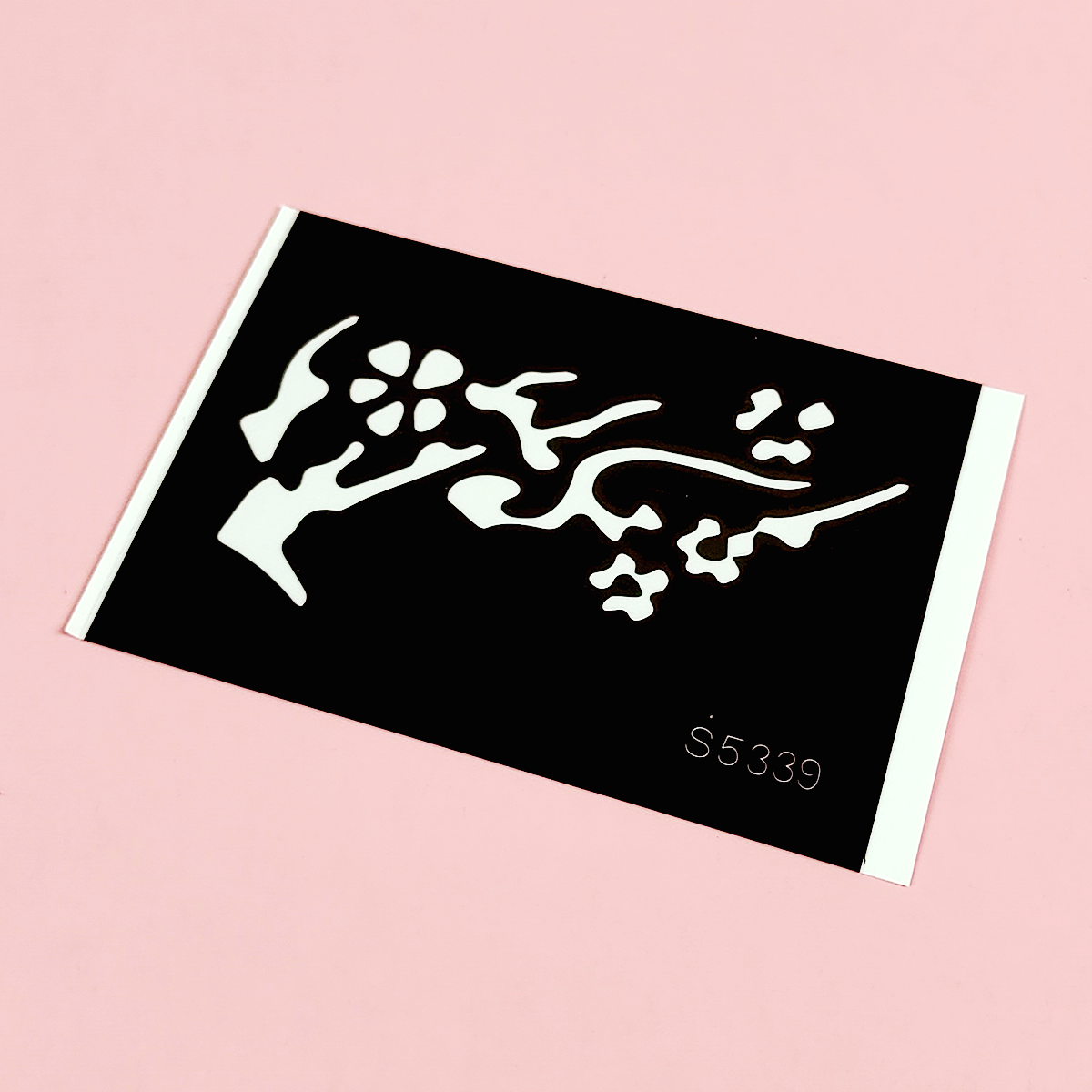 S5339 S5339