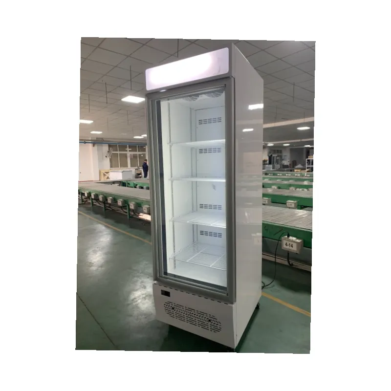 Kenkuhl single glass door ice cream display upright small freezer vertical commercial