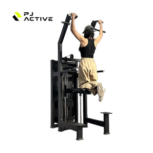 PJ çok fonksiyonlu güç Pull-Up eğitmen kol kıvırmak paralel barlar Fitness ekipmanları üretici yukarı çekin güç kulesi istasyonu - Product Image 2