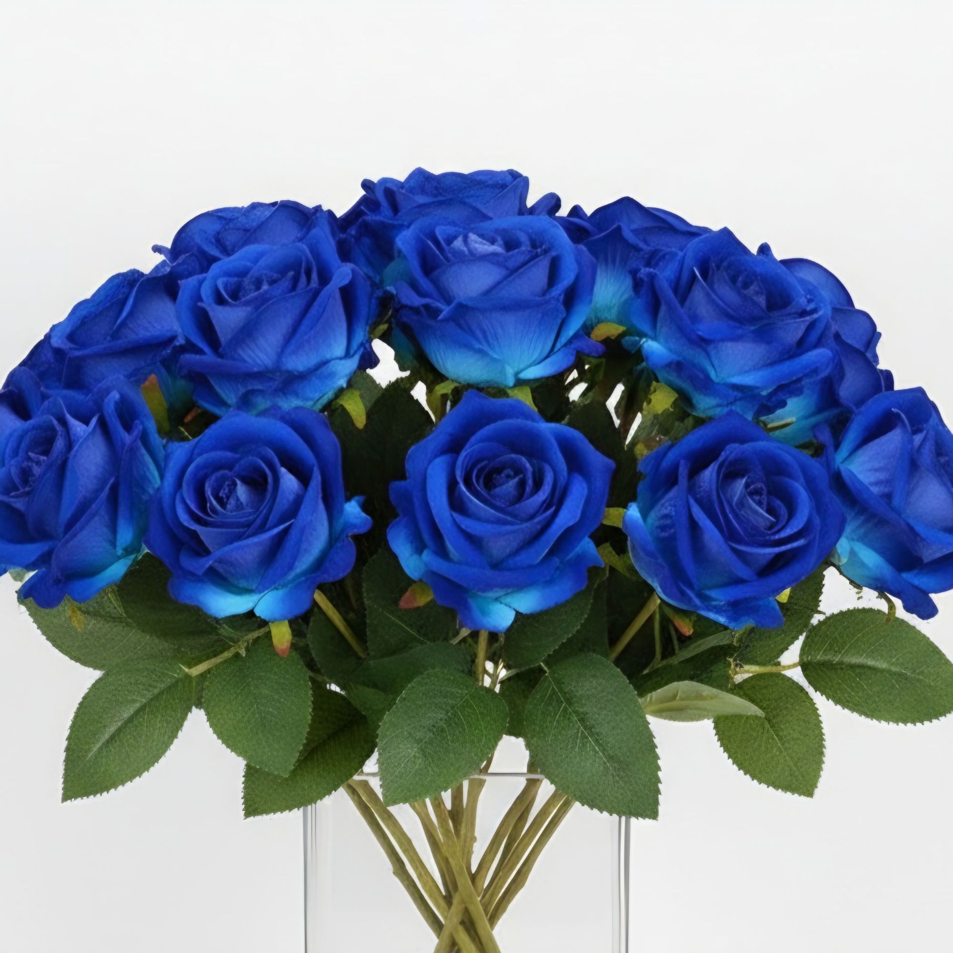 Pearl velvet-rose blue