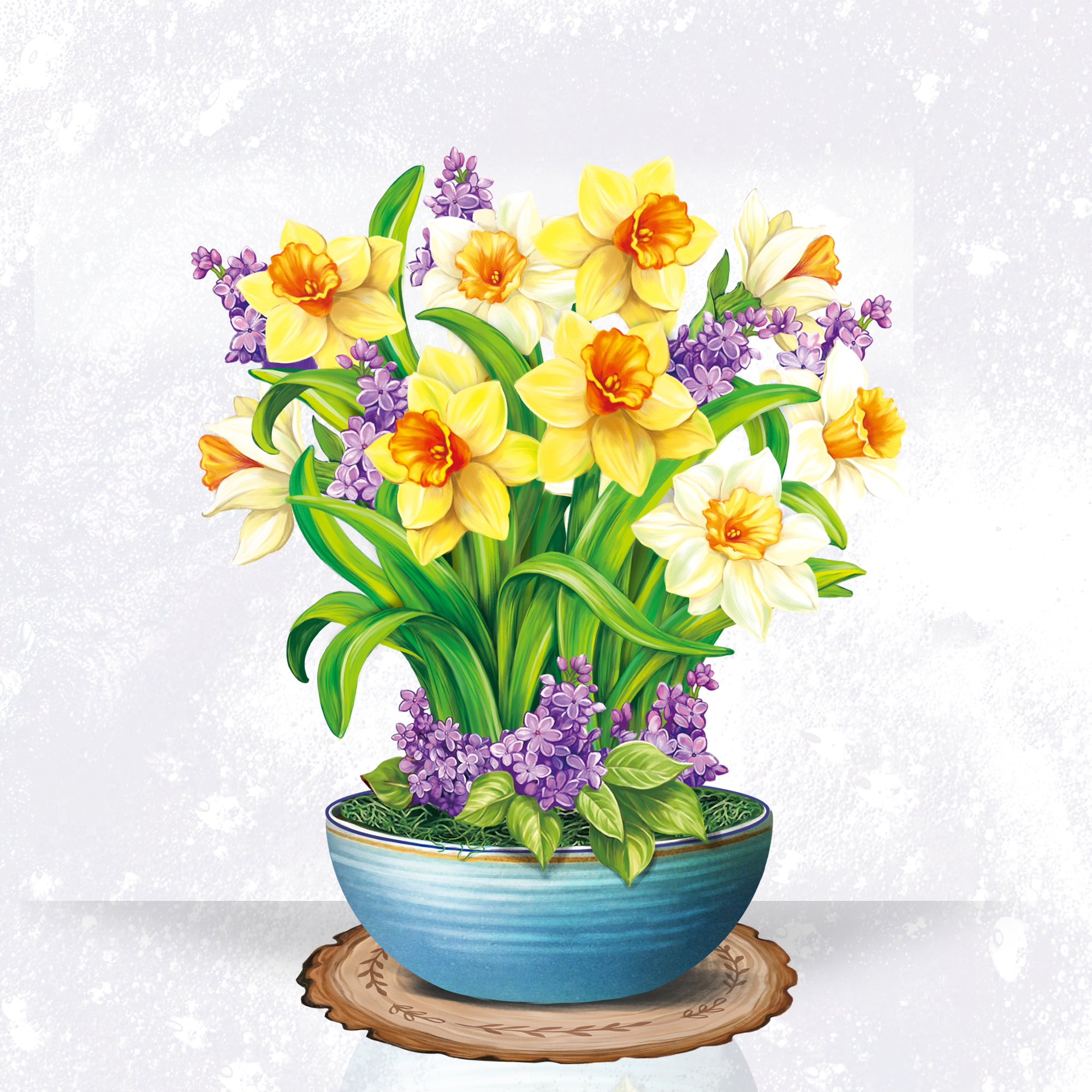 Narciso