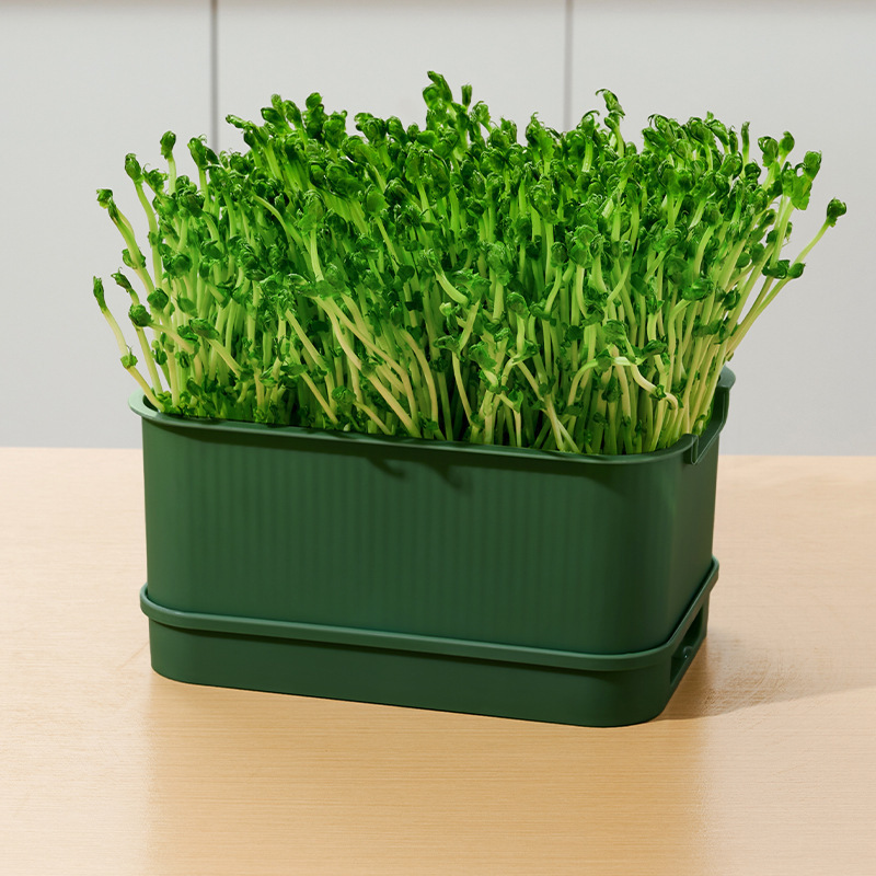 Single-layer dark green (49 bundles)