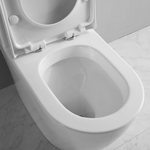 Promotion 2022 New Design <strong>Best</strong>-selling Modern Bathroom Sanitary Washdown Dual Flush One Piece <strong>Toilet</strong> - Product Image 5