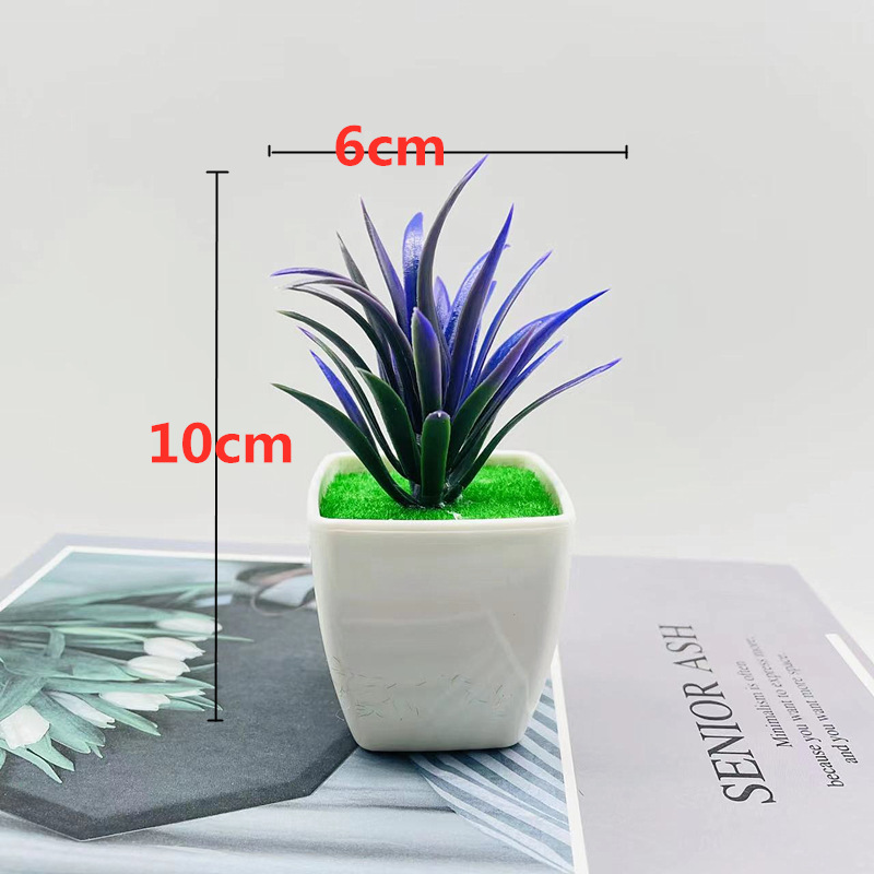 Herbe de glaïeul violet-bleu