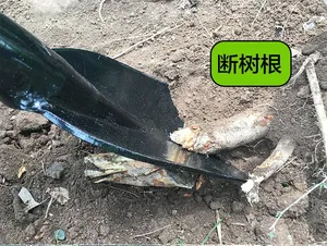 640 <strong>Holes</strong>/Day Efficiency in Rocky Soil Multi-functional 4 Stroke Petrol Tree Digger