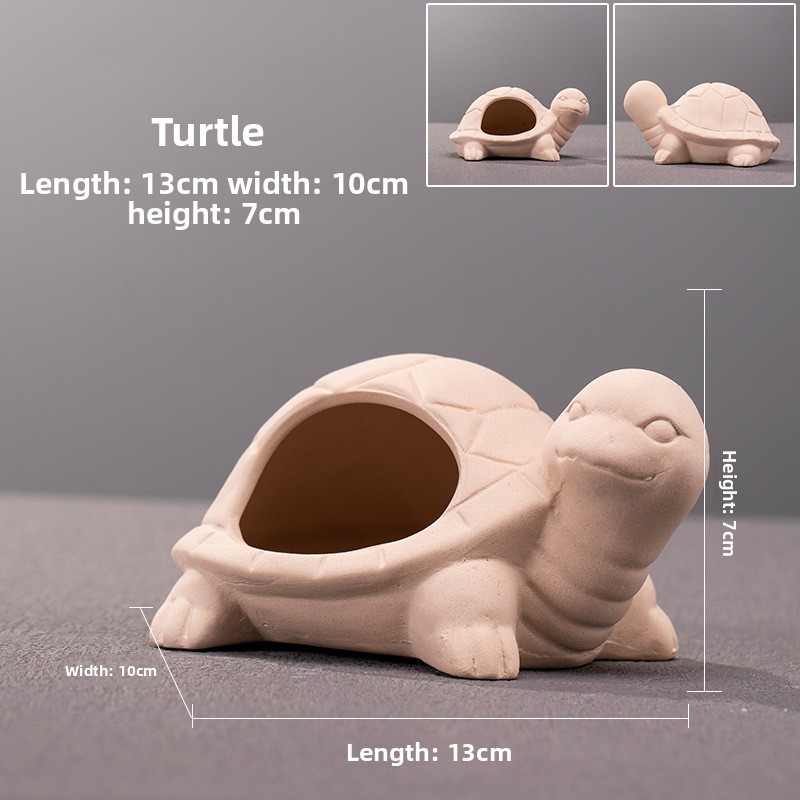 Tortuga
