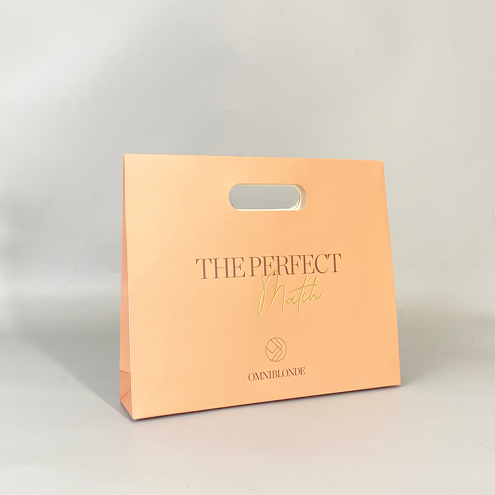 Sac cadeau de luxe avec logo en feuille, sac de shopping, sac en papier cartonné