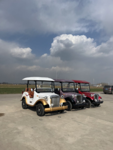 Shareer品質カスタマイズカラー56シートインバーコントローラーOldtimer 60V 70V 4KWACモーターヒュンダイ電気自動車ヴィンテージ - Product Image 4