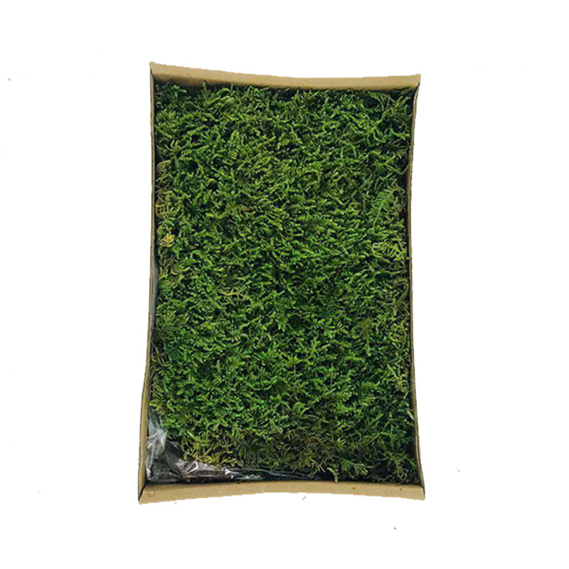 Vert frais