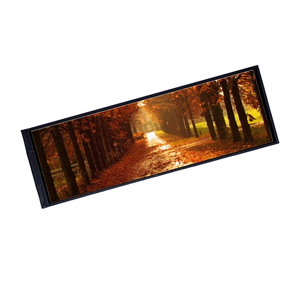 3,5 4,0 4,3 5 5,5 7,0 10,1 Zoll mipi dsi uart Schnitts telle ips tft lcd Modul Touch 7,84 Zoll 400*1920 Pixel Bildschirm anzeige - Product Image 4