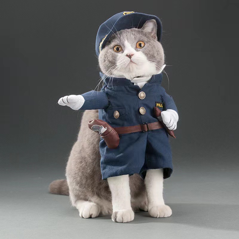 Déguisement de policier