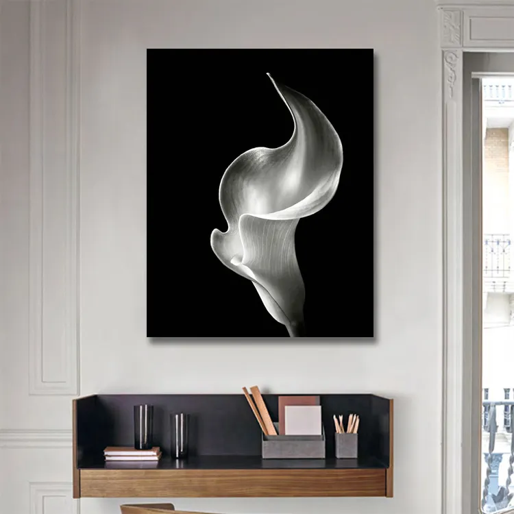 Airom Flame Calla Lily in bianco e nero su tela pittura stampe murali immagini per soggiorno Nordic Picture Decor