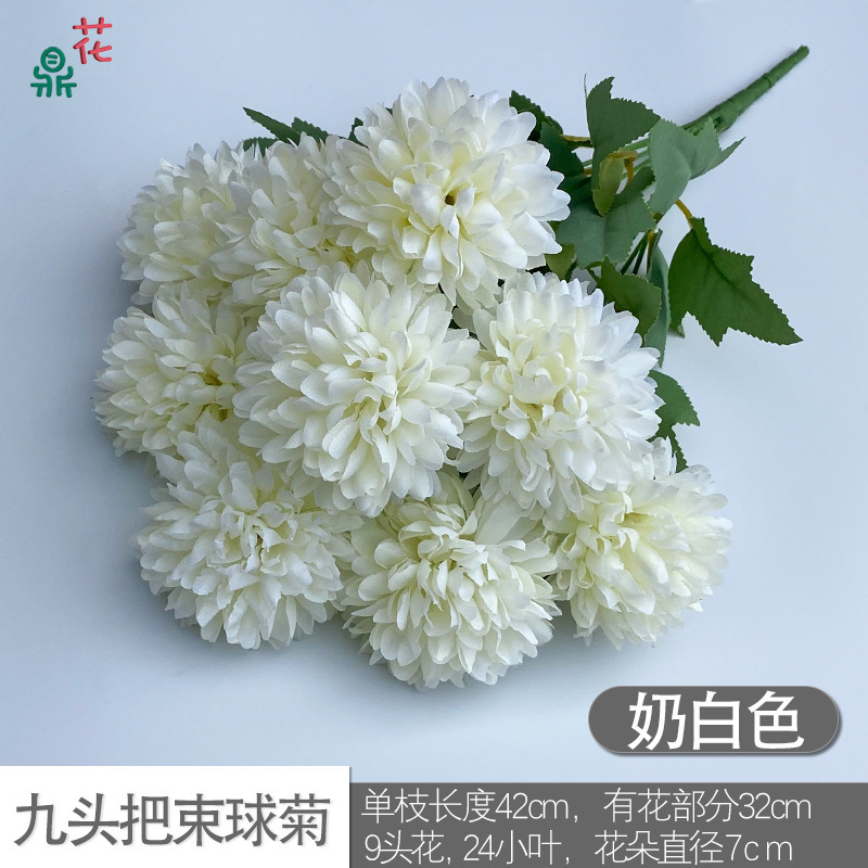 Bouquet de chrysanthèmes à neuf têtes, blanc crème