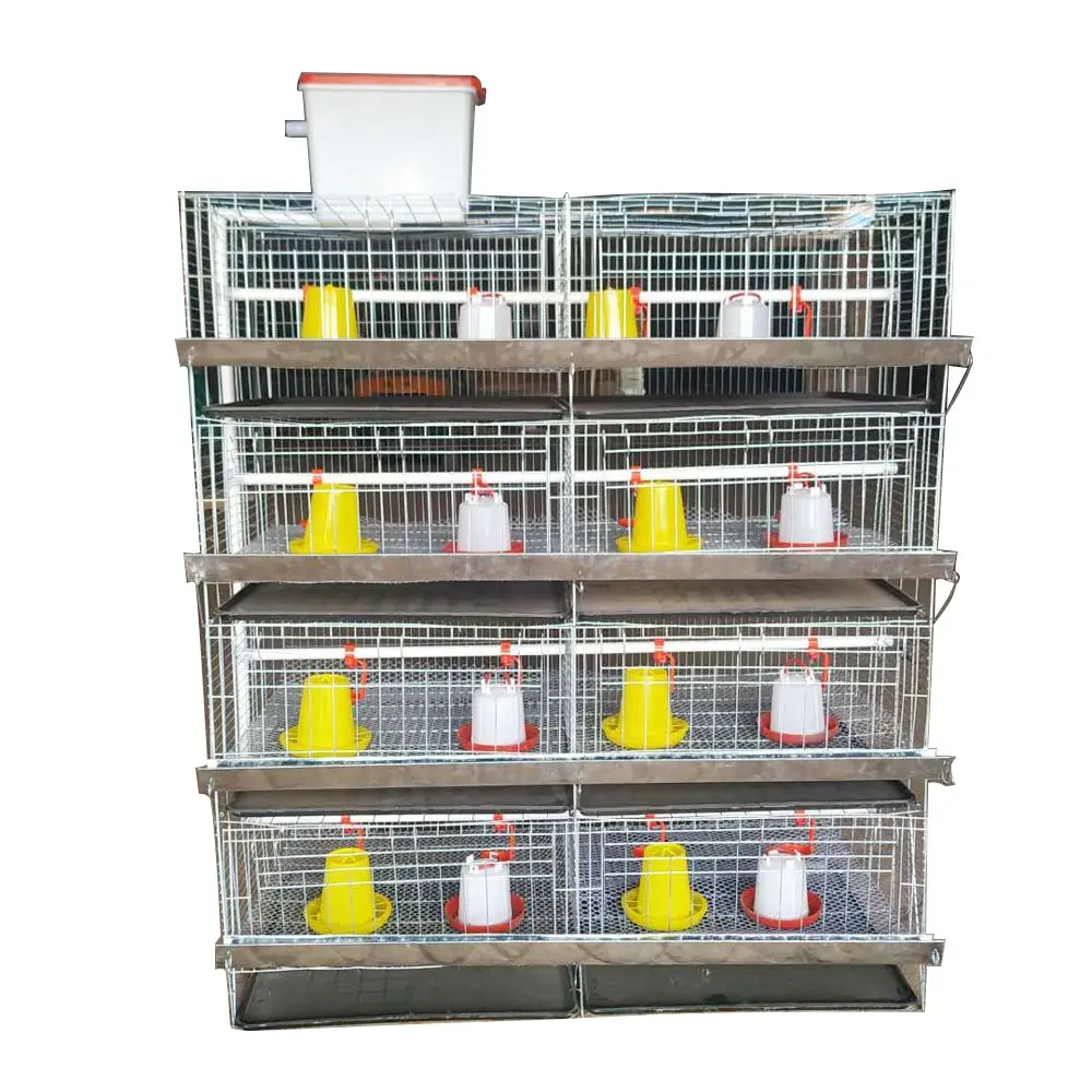 Cage de volaille pour poules, 4 niveaux, Type H, double système de levage, équipement agricole