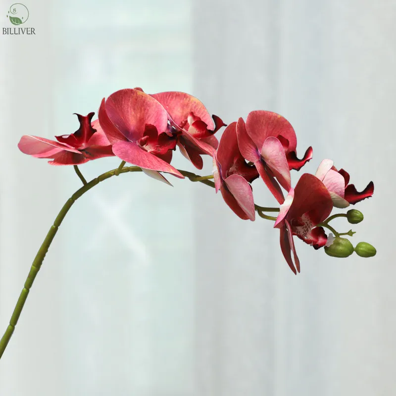 Vero tocco fiore artificiale naturale fiori falena farfalla orchidea per la casa decorazione di nozze