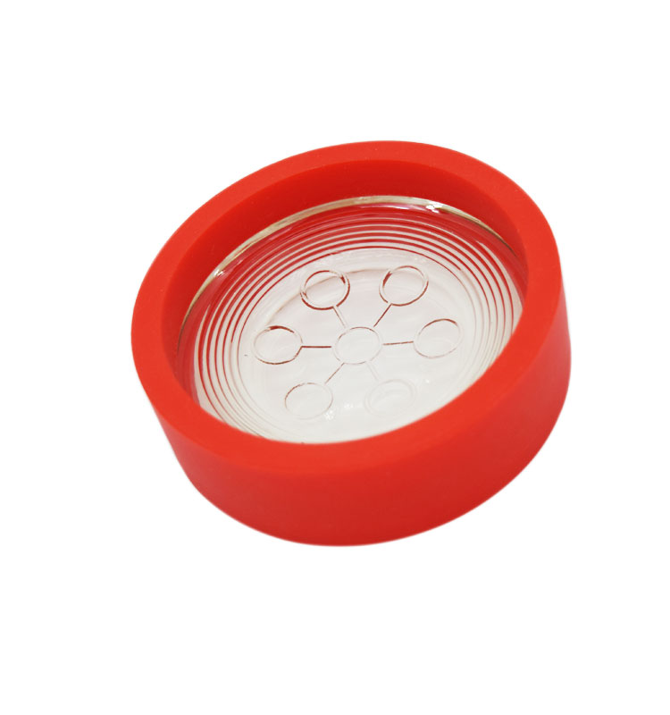 Rojo