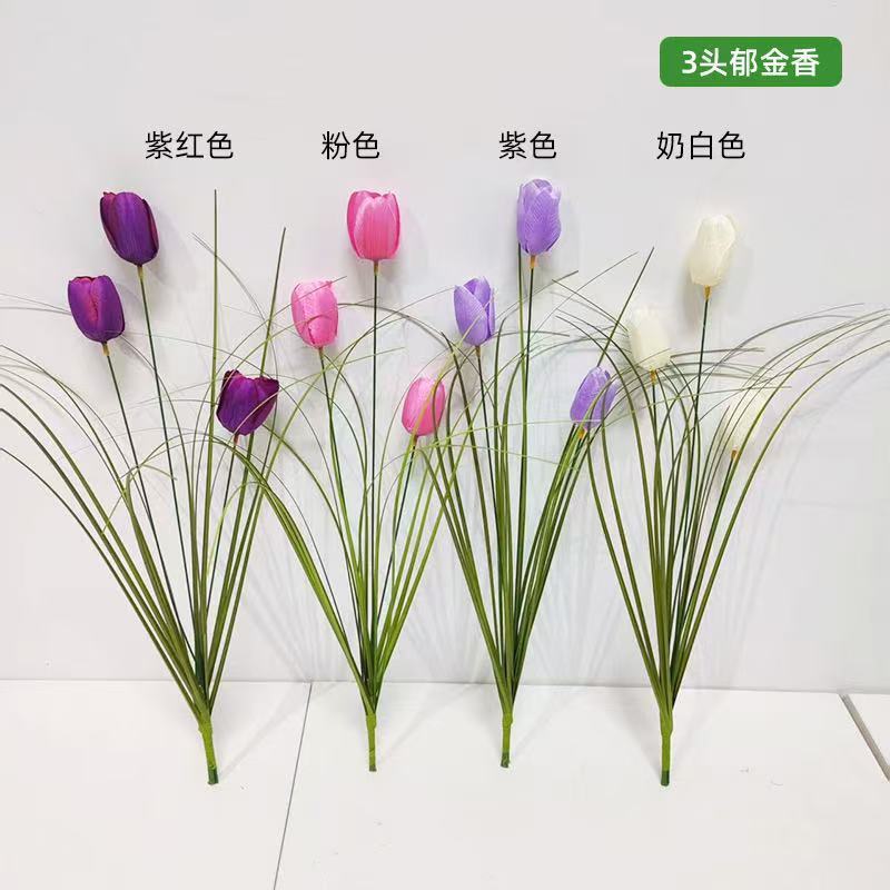 Tulipano a tre teste rosso violaceo