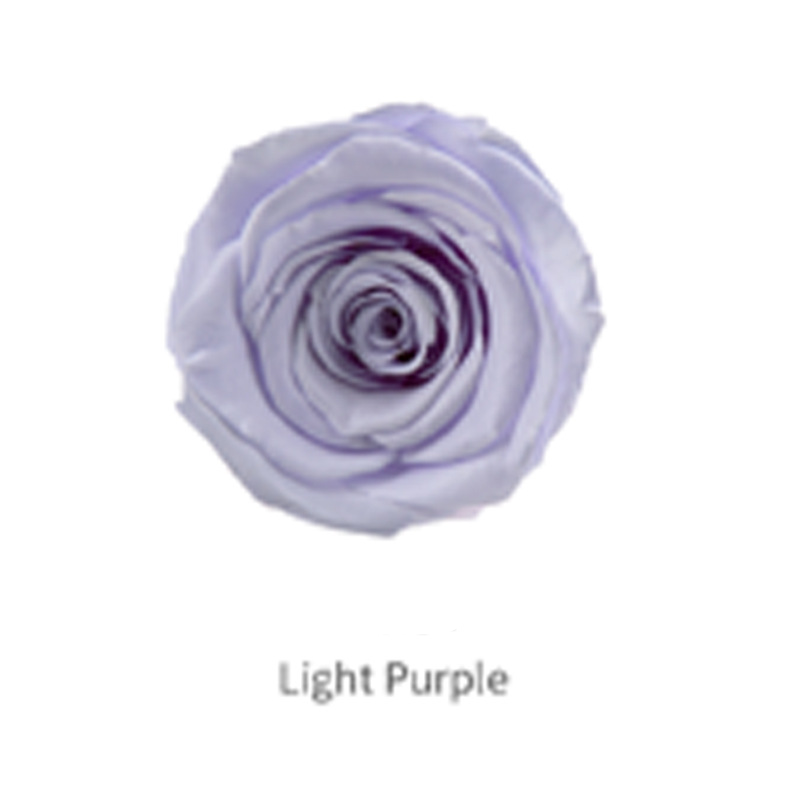 Luz Púrpura Grado B 8 Flores
