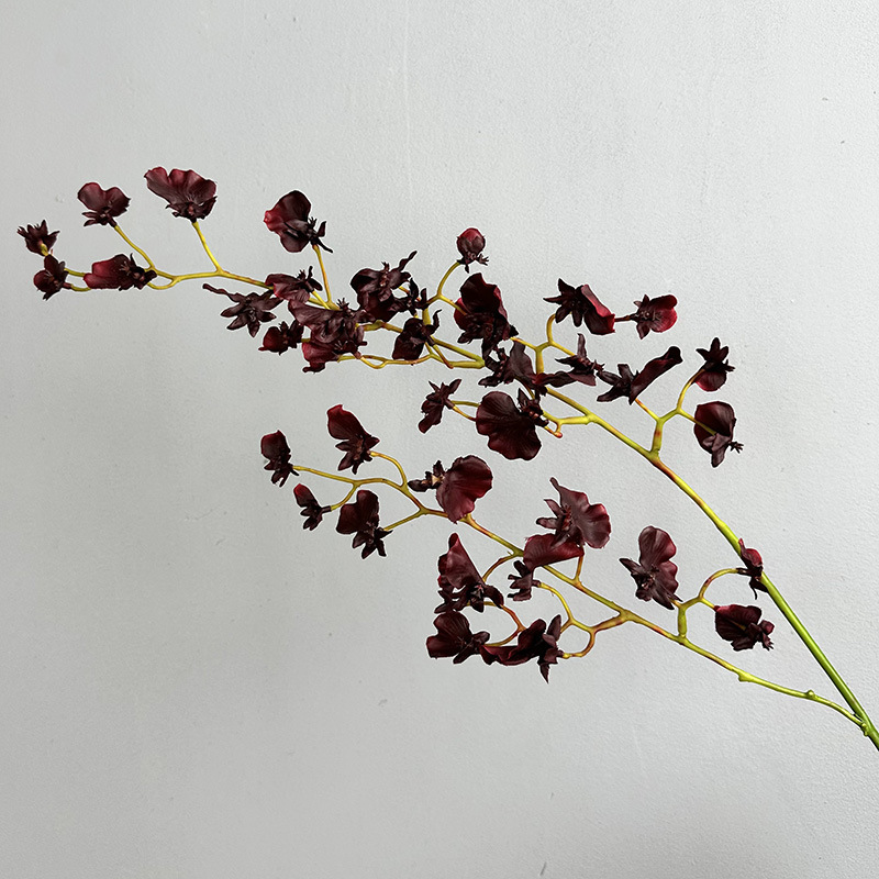 Pourpre