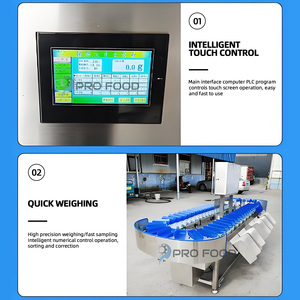 High Efficiency Fruit And Vegetable <strong>Sorting</strong> <strong>Machine</strong> Stainless Steel Fruit Size Sorter Reliable Weight <strong>Sorting</strong> <strong>Machine</strong> - Product Image 2