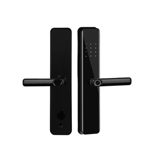 Mortasa 6085 russo con password per impronte digitali con controllo remoto senza chiave porta in acciaio ottone smart lock per porta
