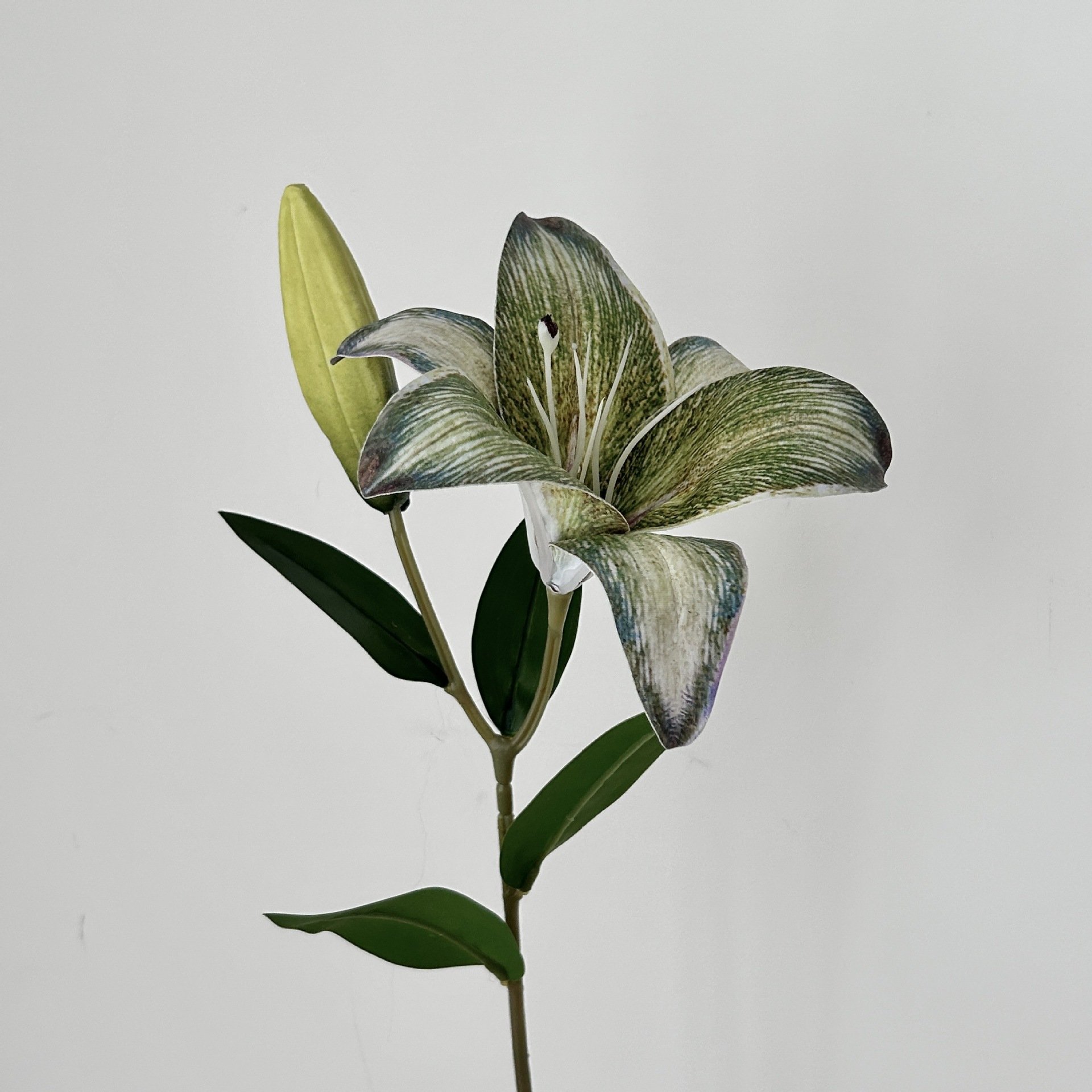 Gray green