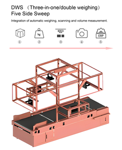 220V Dimensión dinámica Pesaje Sistema de clasificación de paquetes Máquina clasificadora DWS para clasificación logística de almacén - Product Image 6